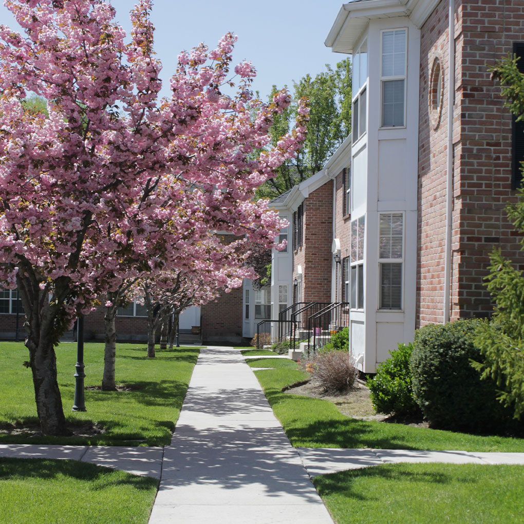 Havenwood-Gallery_blossoms_townhomes